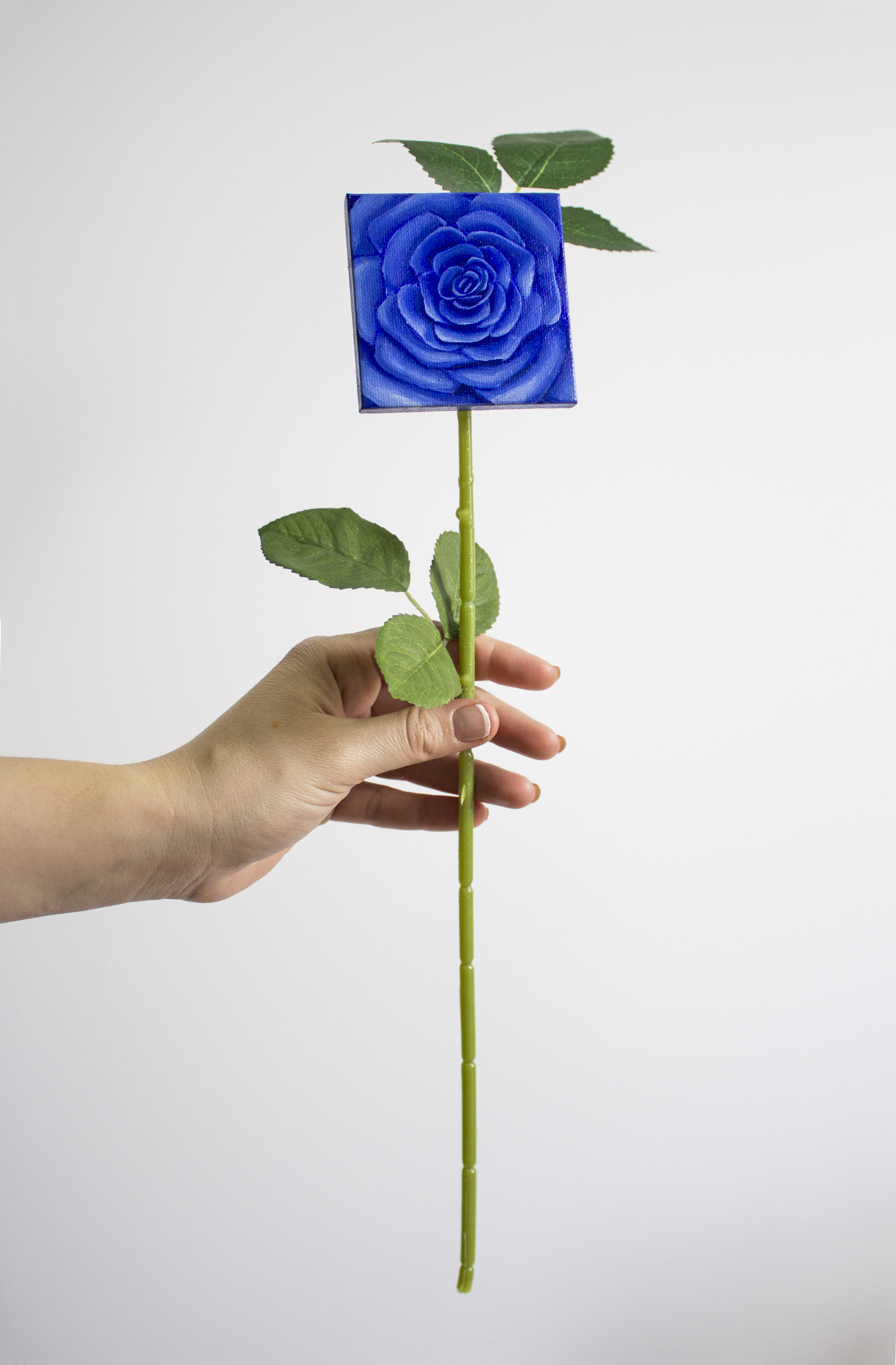 Multicolor Forever Rose_Blue Rose 1
